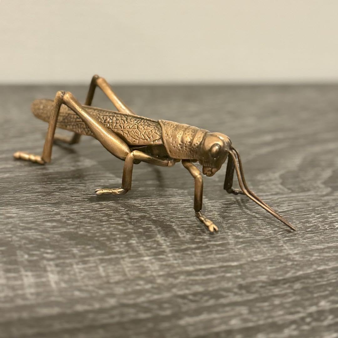 置物　真鍮　銅 Amazon.co.jp: バッタ 置物 真鍮 昆虫 黄金 インテリア 飾り雑貨